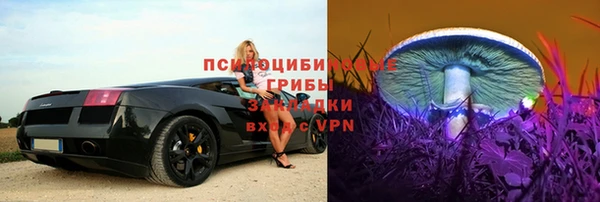 крисы Верхний Тагил
