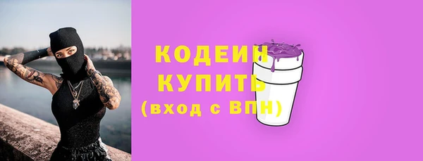 крисы Верхний Тагил