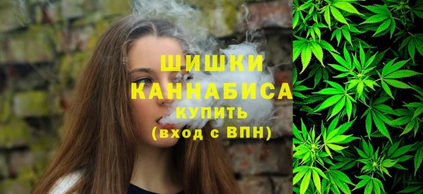 крисы Верхний Тагил
