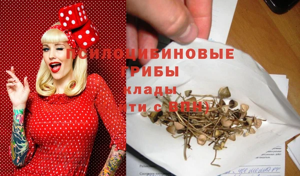 крисы Верхний Тагил