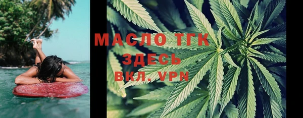 тгк Верея