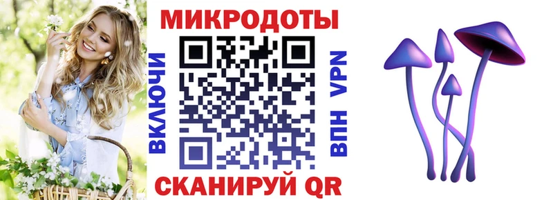 Галлюциногенные грибы Psilocybe  где продают   OMG рабочий сайт  Кирс 